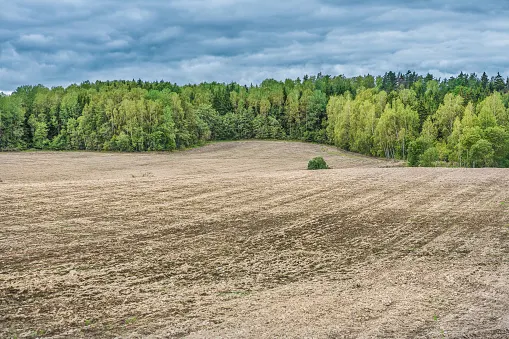 Drought conditions plague the Prairies, record dry for some