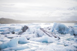 La glace sur la baie d'Hudson a des impacts chez nous