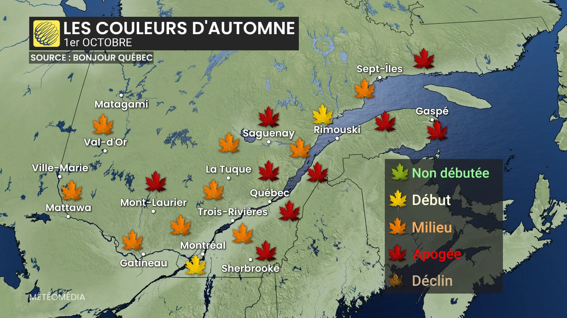 FEUILLE1