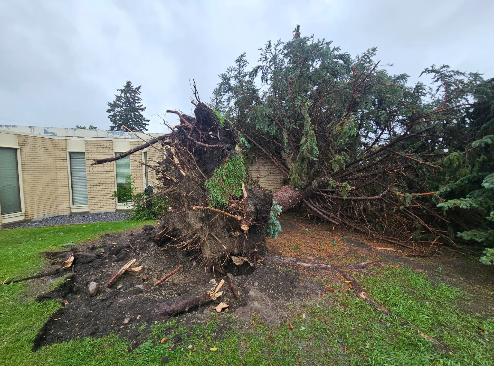 Connor O'Donovan: Damage from thunderstorm in Thorncliffe, residential neighbourhood in northwest Calgary, Alberta. (Date Shot: July 14, 2025. Storm occurred July 13) - 3