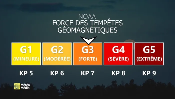 AURORE1 (1)