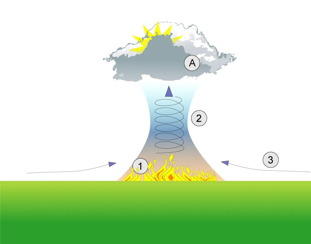 Firestorm thermal column