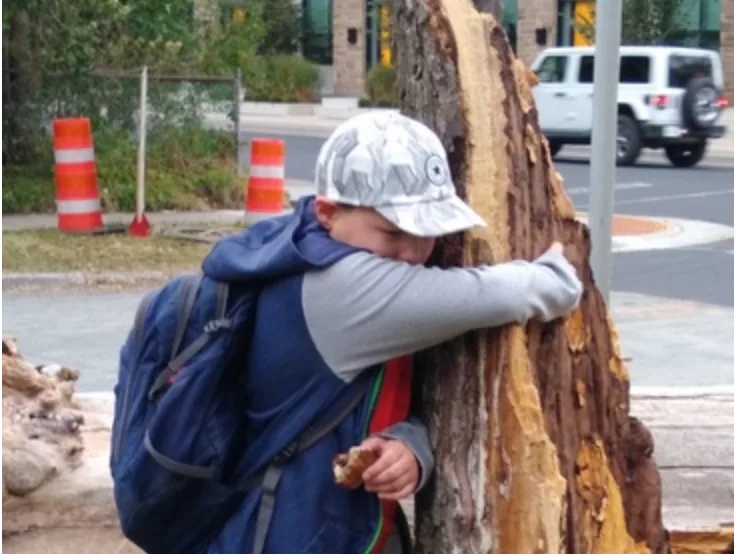 Halifax boy shares tearful goodbye with favourite tree following Dorian