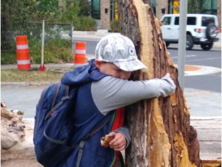 Halifax boy shares tearful goodbye with favourite tree following Dorian