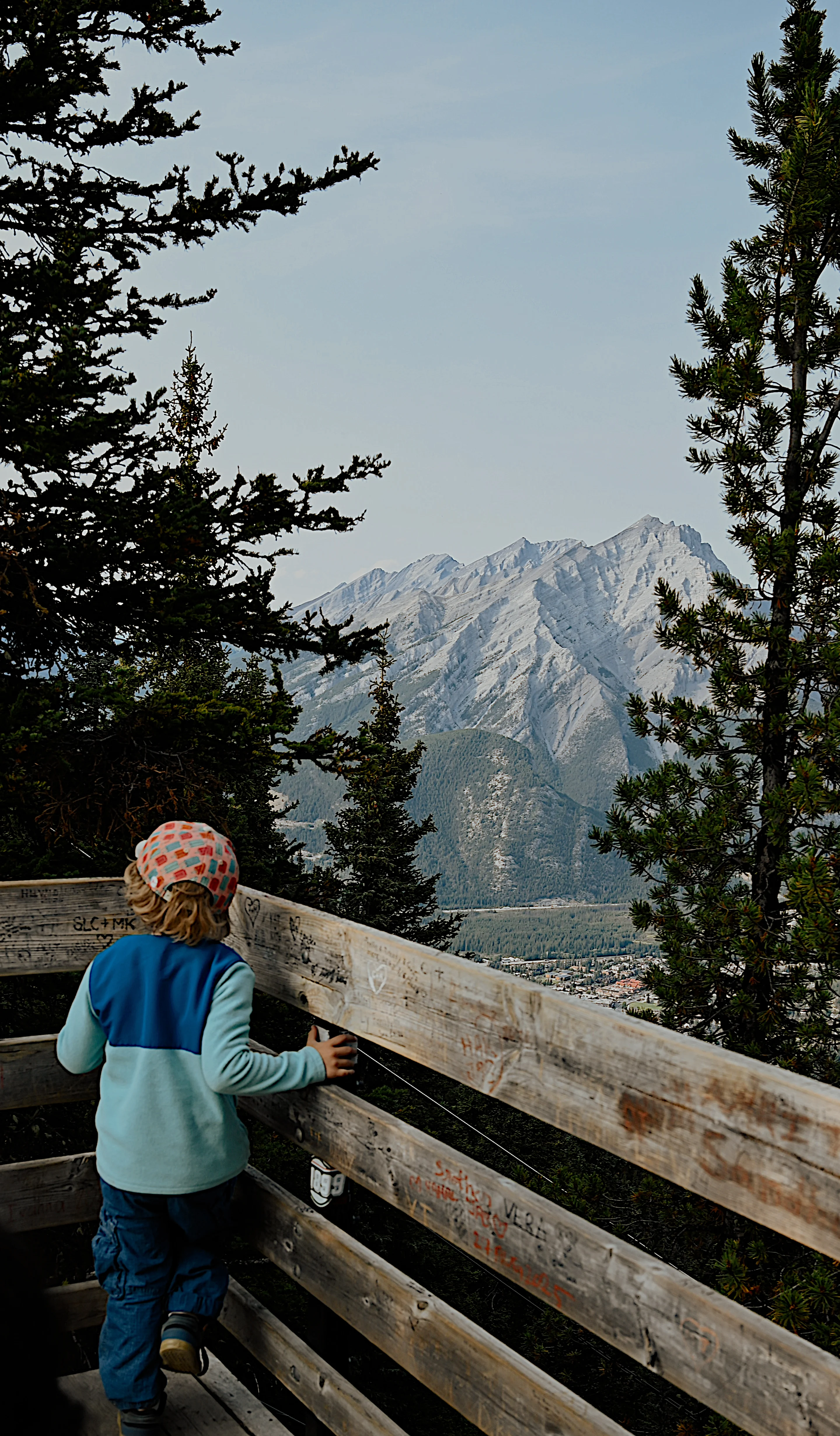 Mia's helper Max looking down at the town of Banff, Alta., from a mountain boardwalk. (Mia Gordon/TWN)