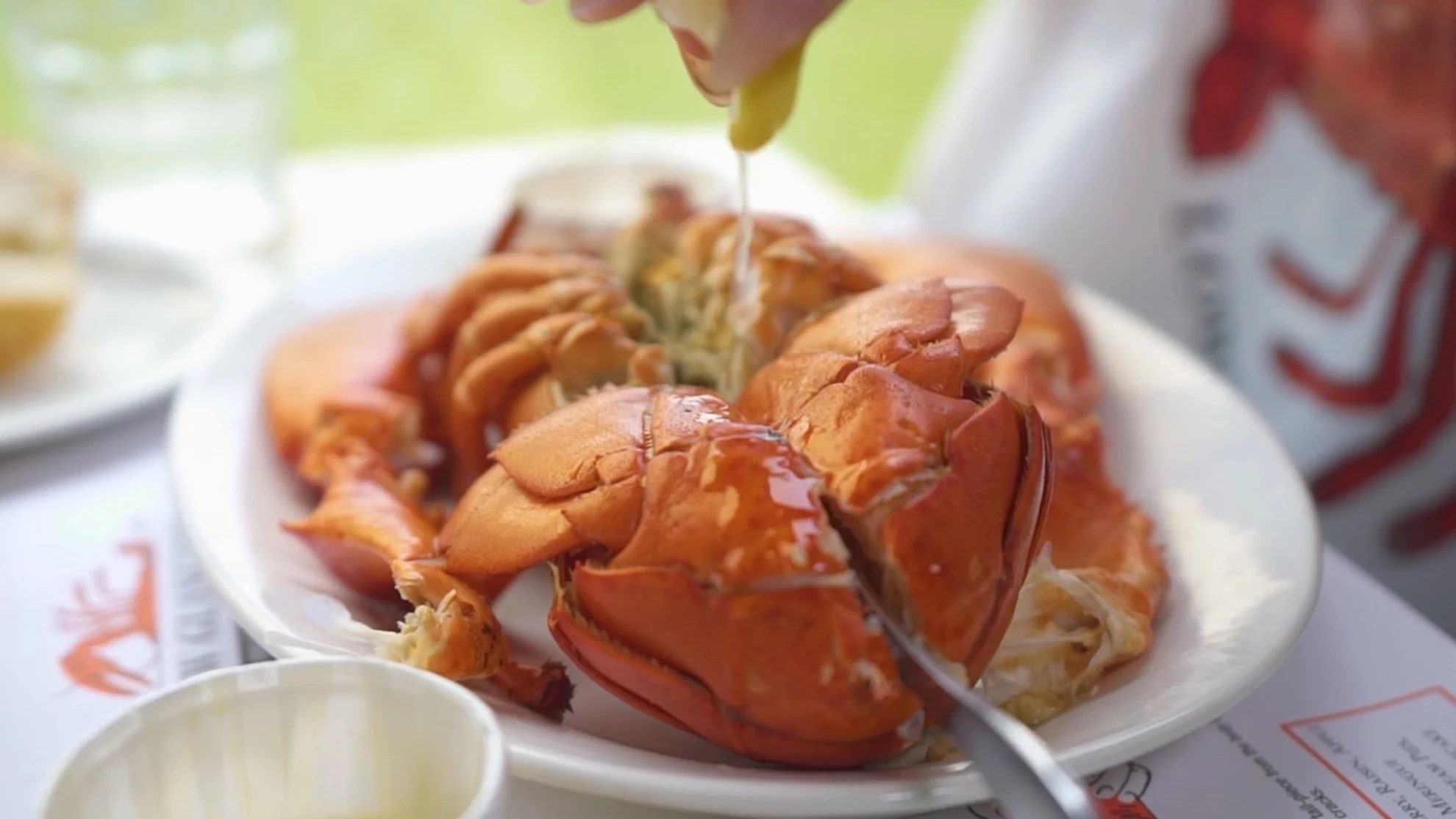 UGC - PEI lobster roll