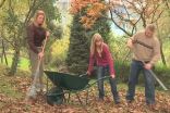 Should I rake leaves off my lawn? No, but yes. Here's why