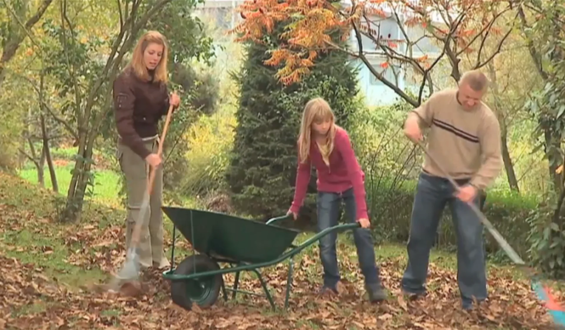 Should you rake leaves off of your lawn? No, but yes. It's complicated