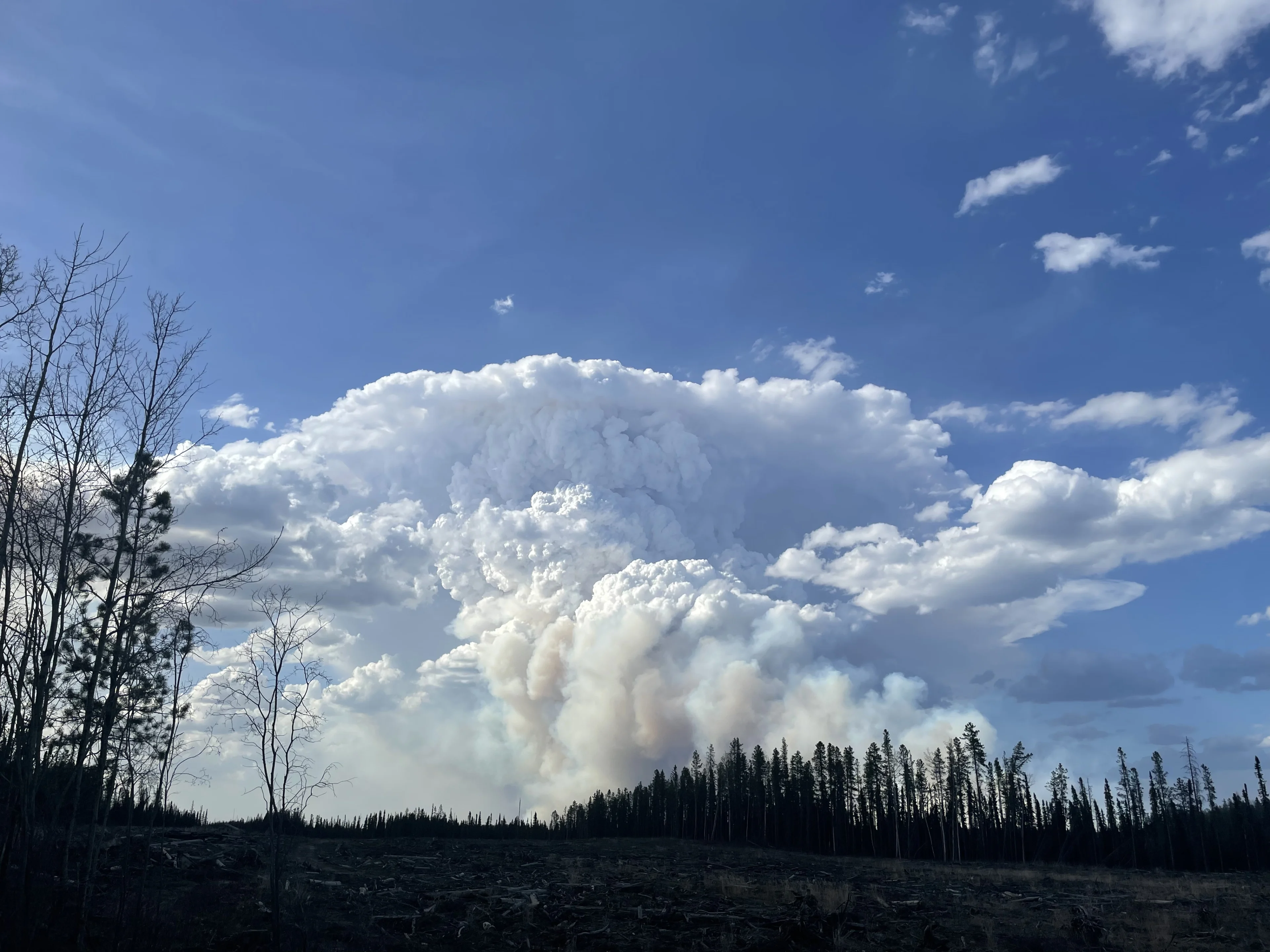 36704014 UGC Alberta wildfire courtesy Raegan Hrywkiw