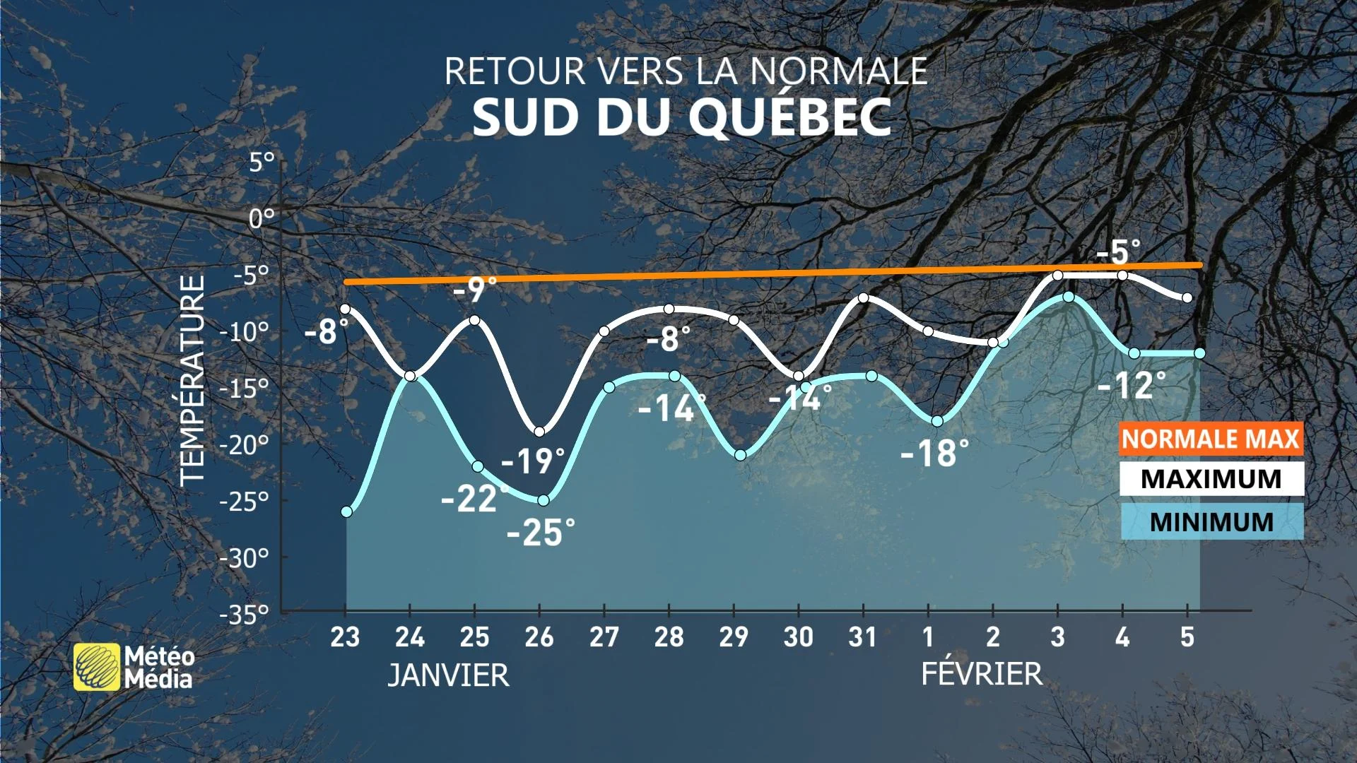 janvier froid 2