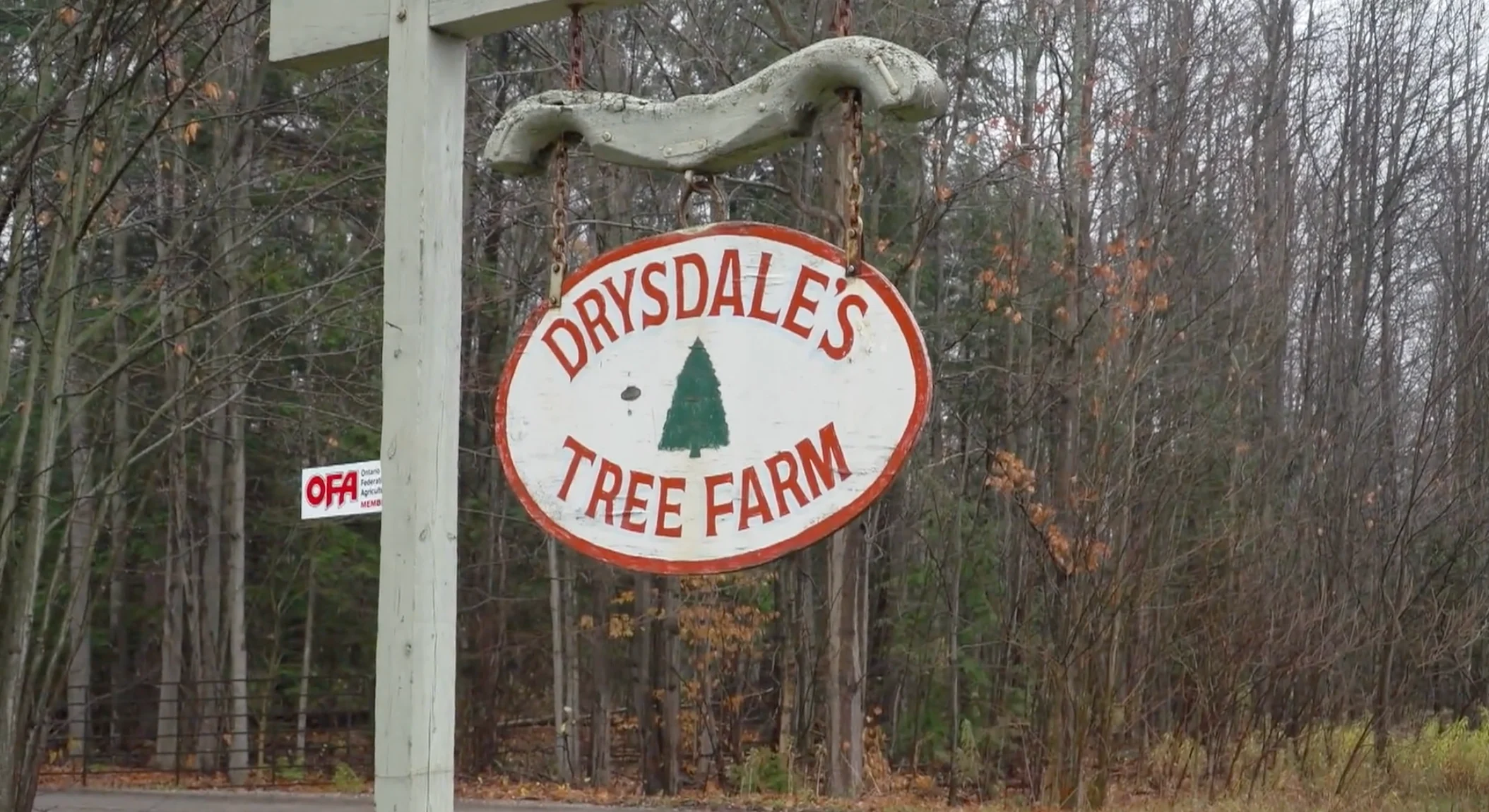 TWN: Drysdale's Tree Farm 