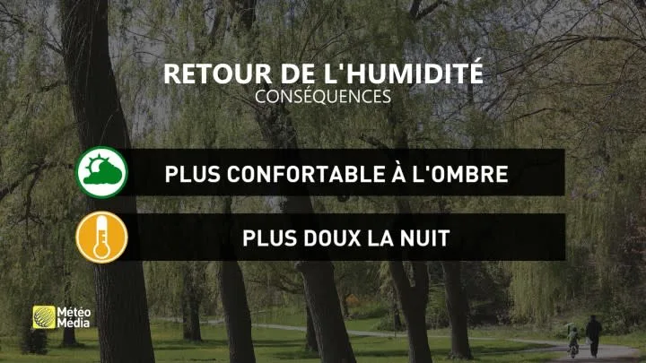 HUM4 CONSÉQUENCES