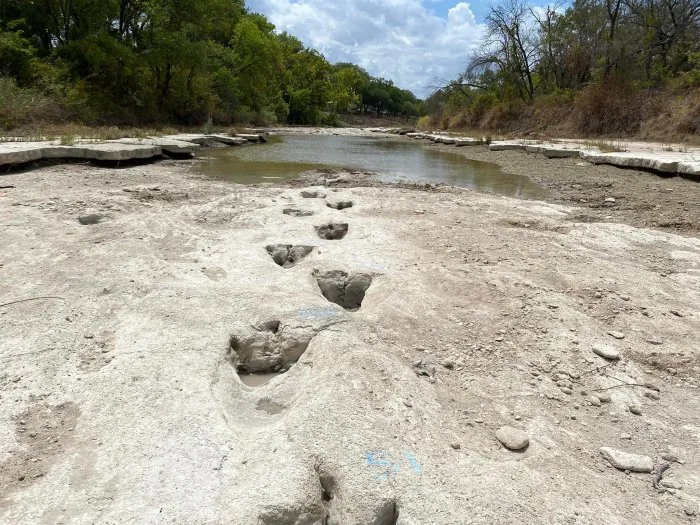 Découverte stupéfiante dans une rivière asséchée