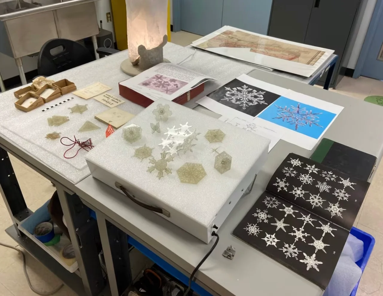 Snowflakes/Erin MacInnis/CBC