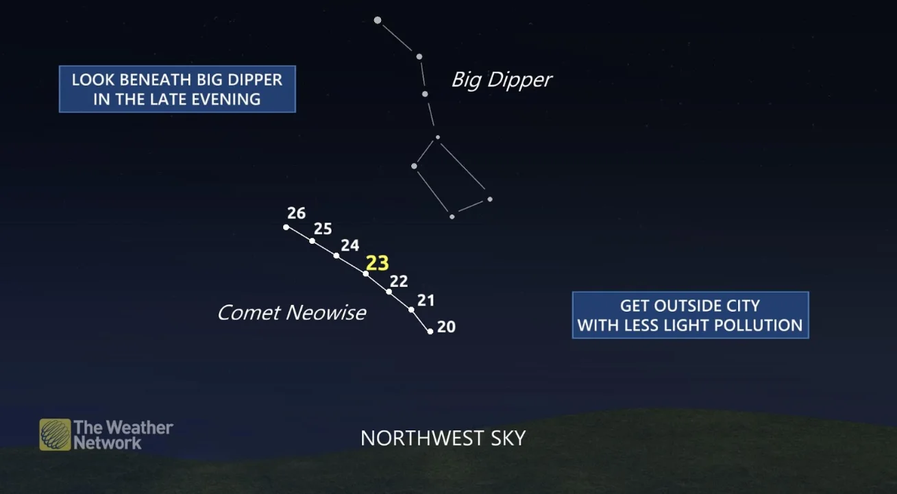 neowise baron