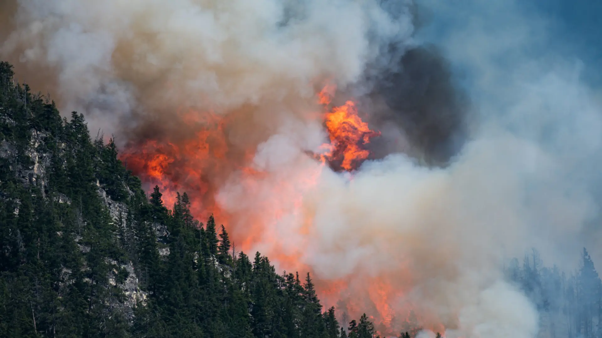 B.C.'s historic wildfire season: A recap of the explosive summer