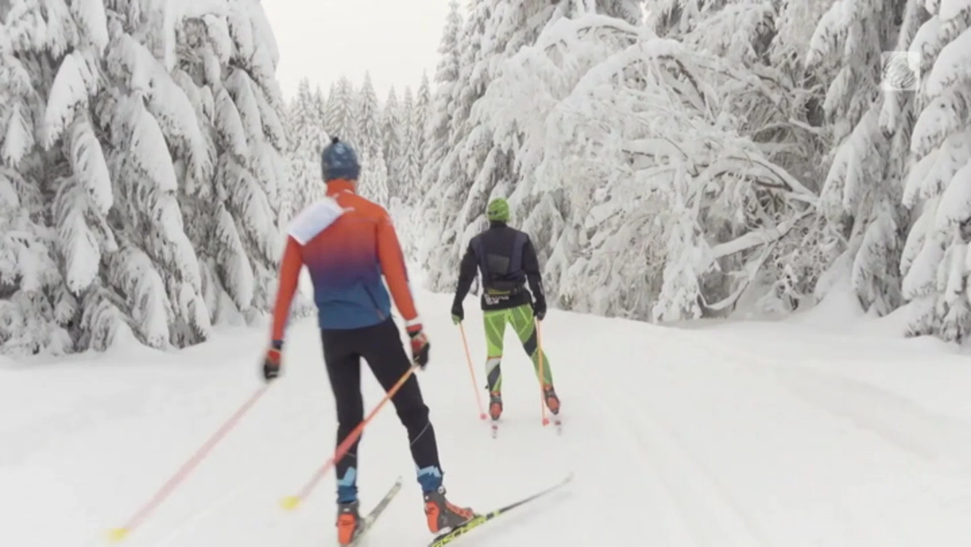 If you've never gone Nordic skiing, this is what you're missing
