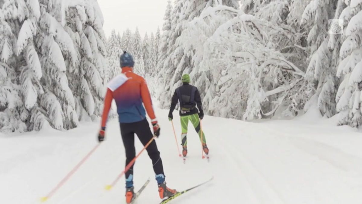 Nordic_Skiing.jpeg?w=1200&q=80