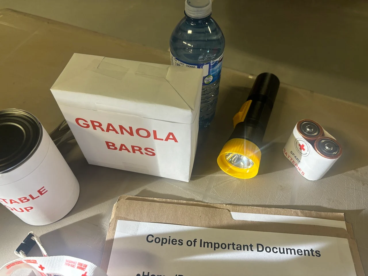 Emergency kit contents/Nathan Coleman/TWN