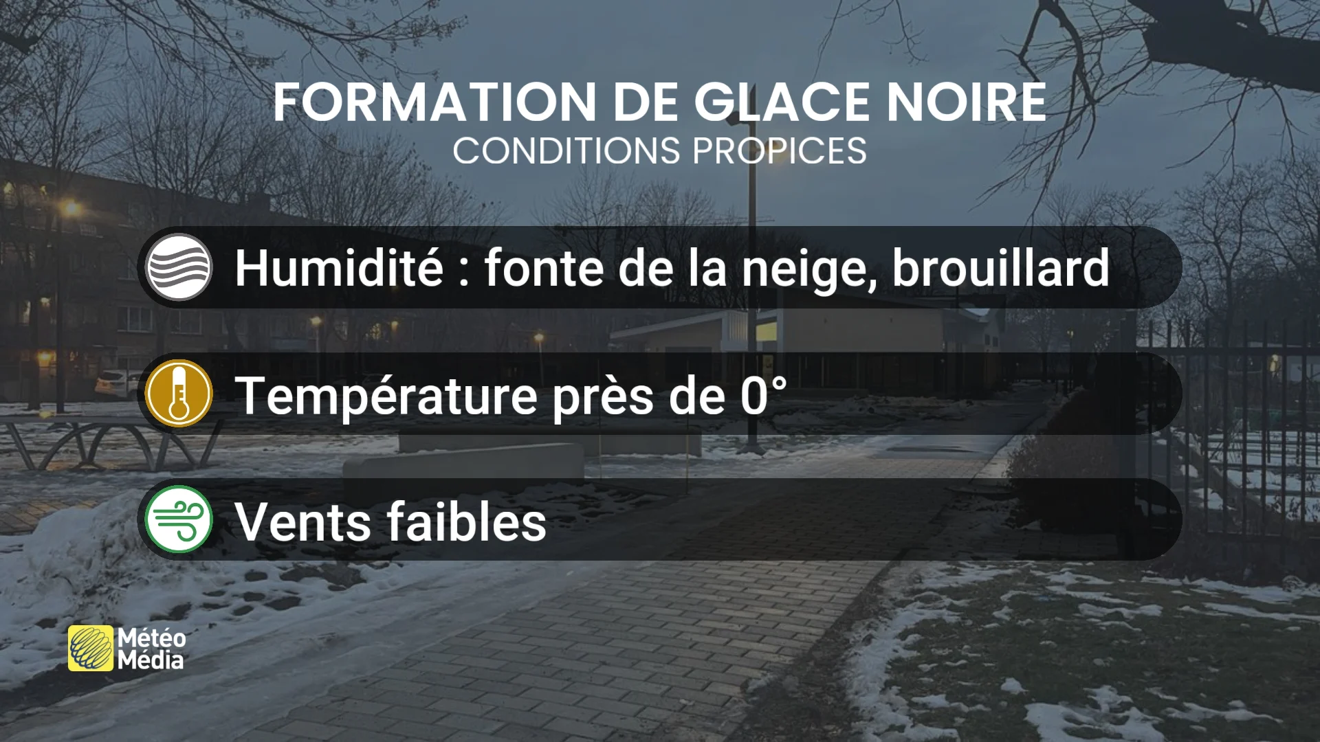 BROUILLARD5