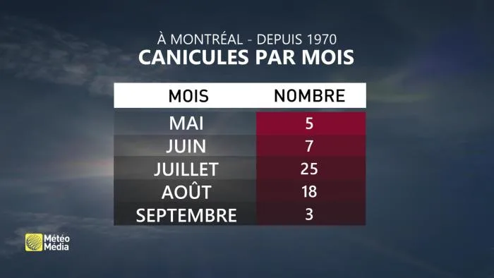 CANICULE3