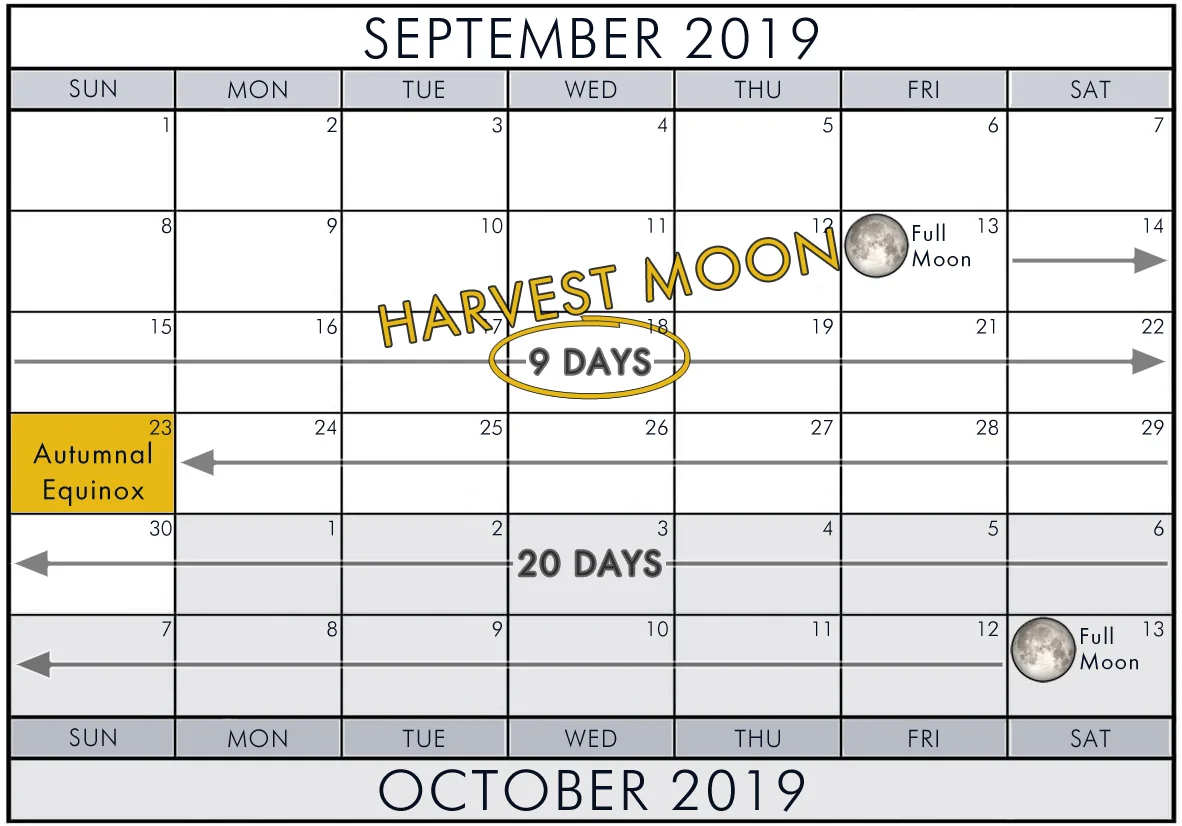 Look up! Extremely rare Harvest Moon rises Friday night - The Weather ...