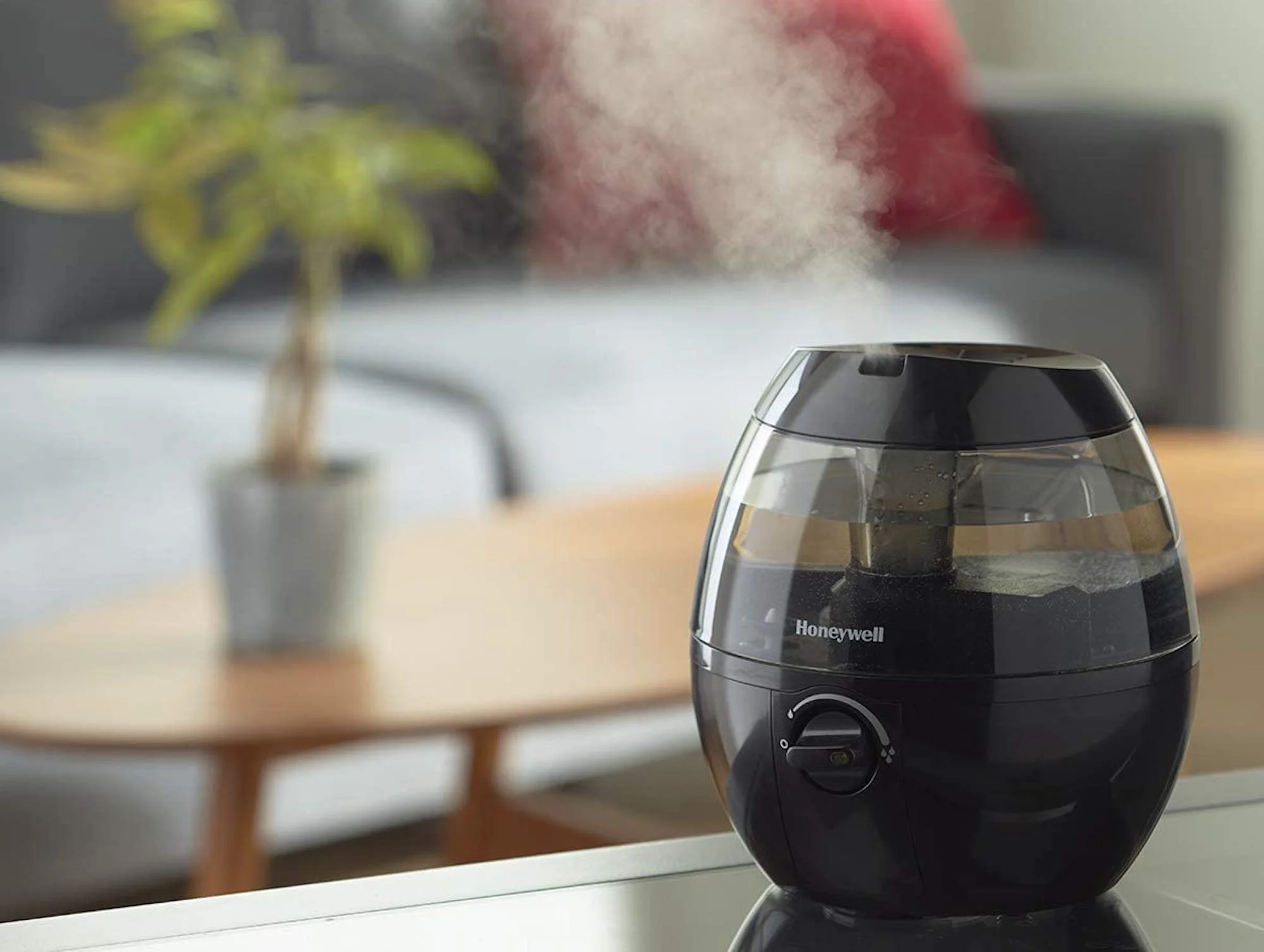 Breathe easier this summer with these 5 air quality products