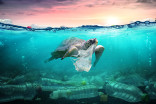 Marine plastic pollution costs up to $2.5 trillion per year