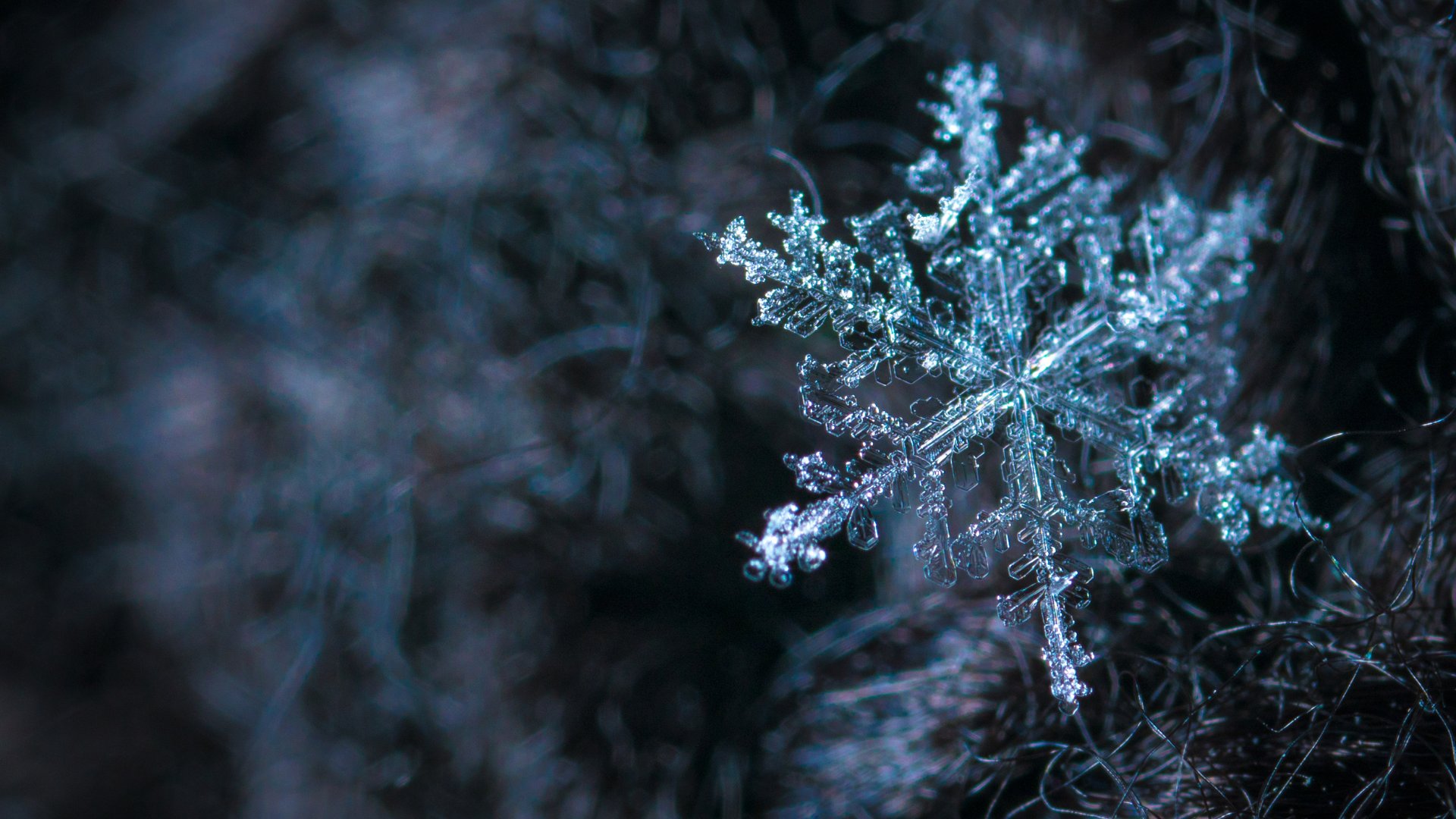 Snowflakes hold clues about much larger weather systems