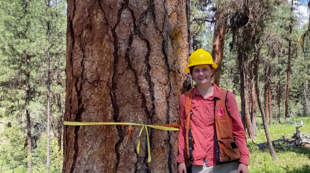 CBC: Amanda Brackett of Oregon State University led a study focused on the impacts of temperature spikes on the growth of new trees as forests attempt to recover. The study focused on Douglas fir trees in western Oregon. (Submitted by Amanda Brackett)