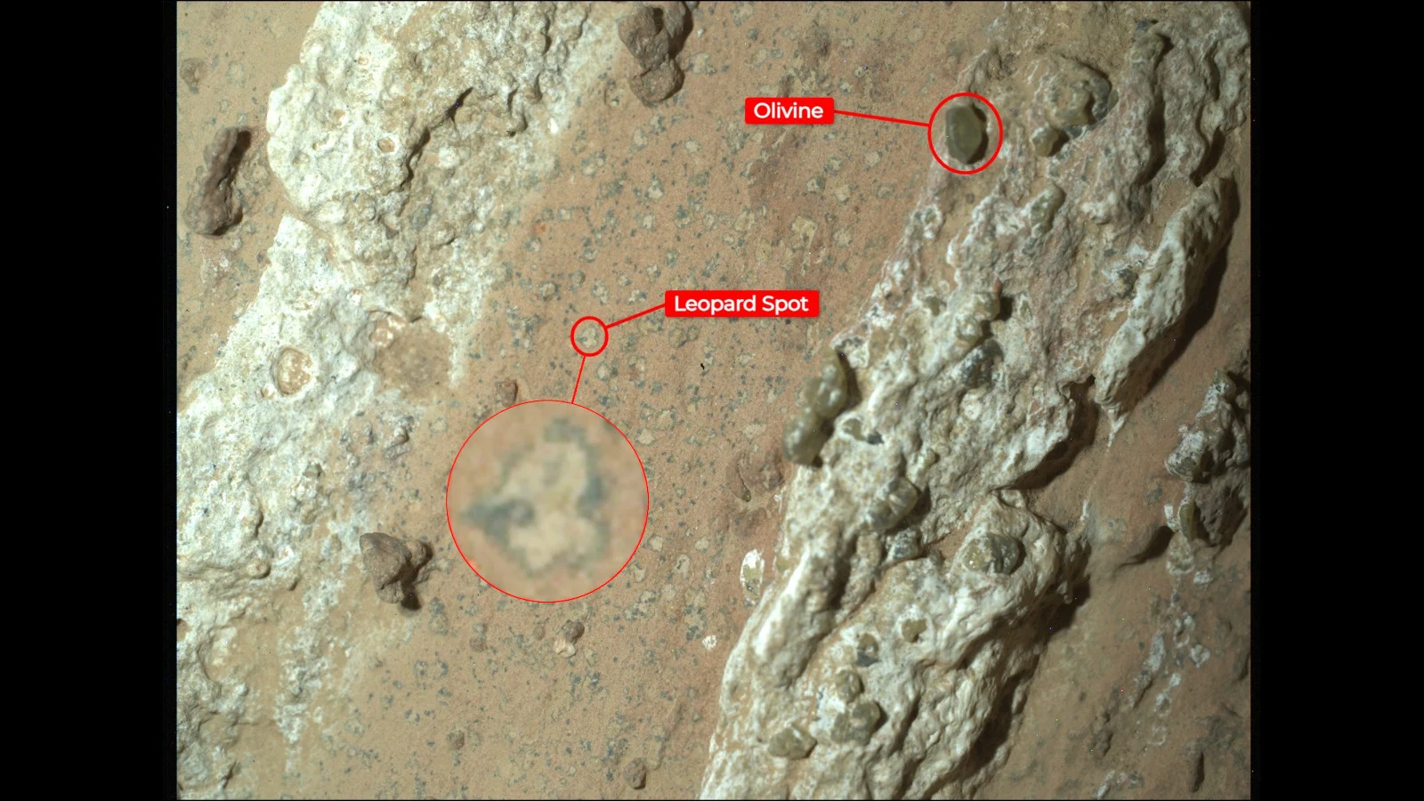 Perseverance Finds Cheyava a Rock with Leopard Spots - annotated