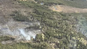 BC is set for droughts and wildfires, Officials are saying don't panic... yet