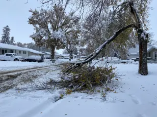 A look back at southern Saskatchewan's wicked, wintry wallop in 2022