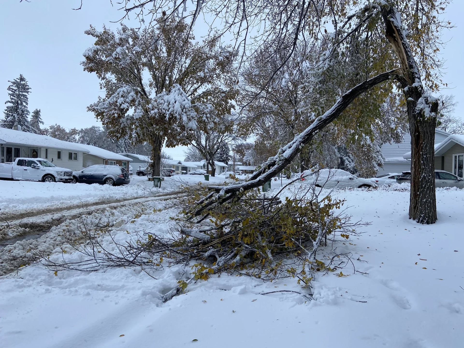 Remember this day in 2022? Southern Saskatchewan's wicked, wintry wallop