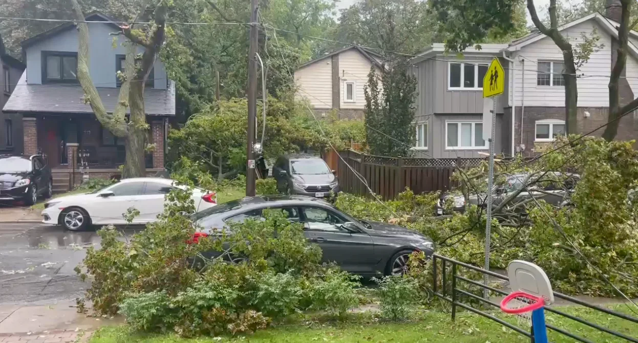 UGC/Dayna Vettese: East York, Toronto Storm damage Power lines and trees down. Sept. 2, 2026