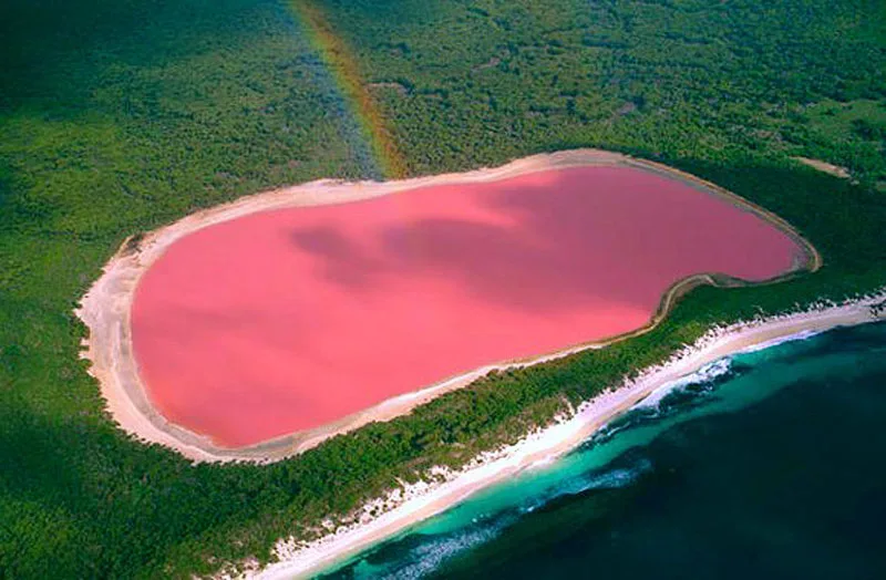 Wikimedia commons lake hillier Kurioziteti123