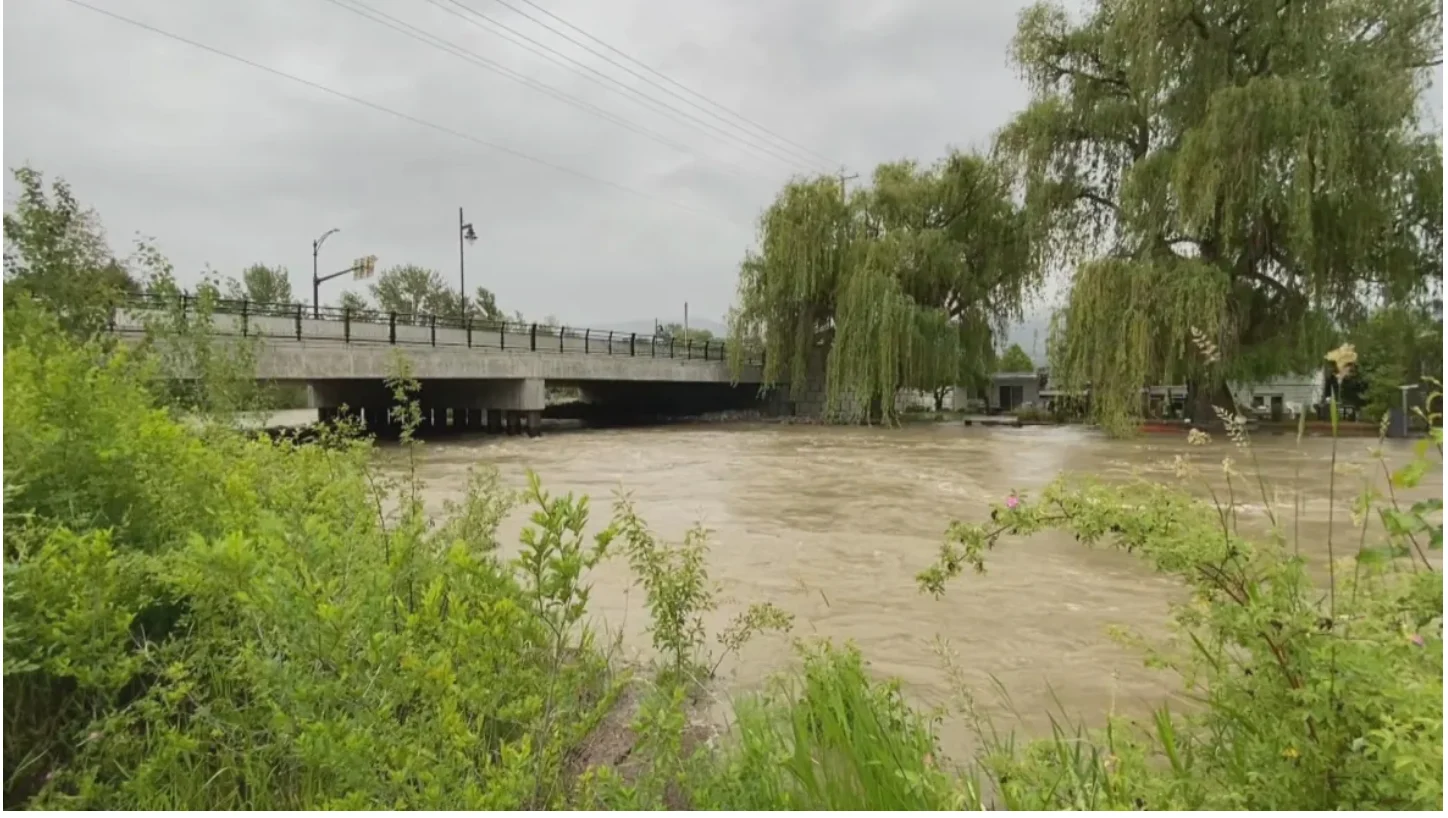 Mission Creek near Kelowna, B.C., is seen on Wednesday. (Tom Popyk/CBC)