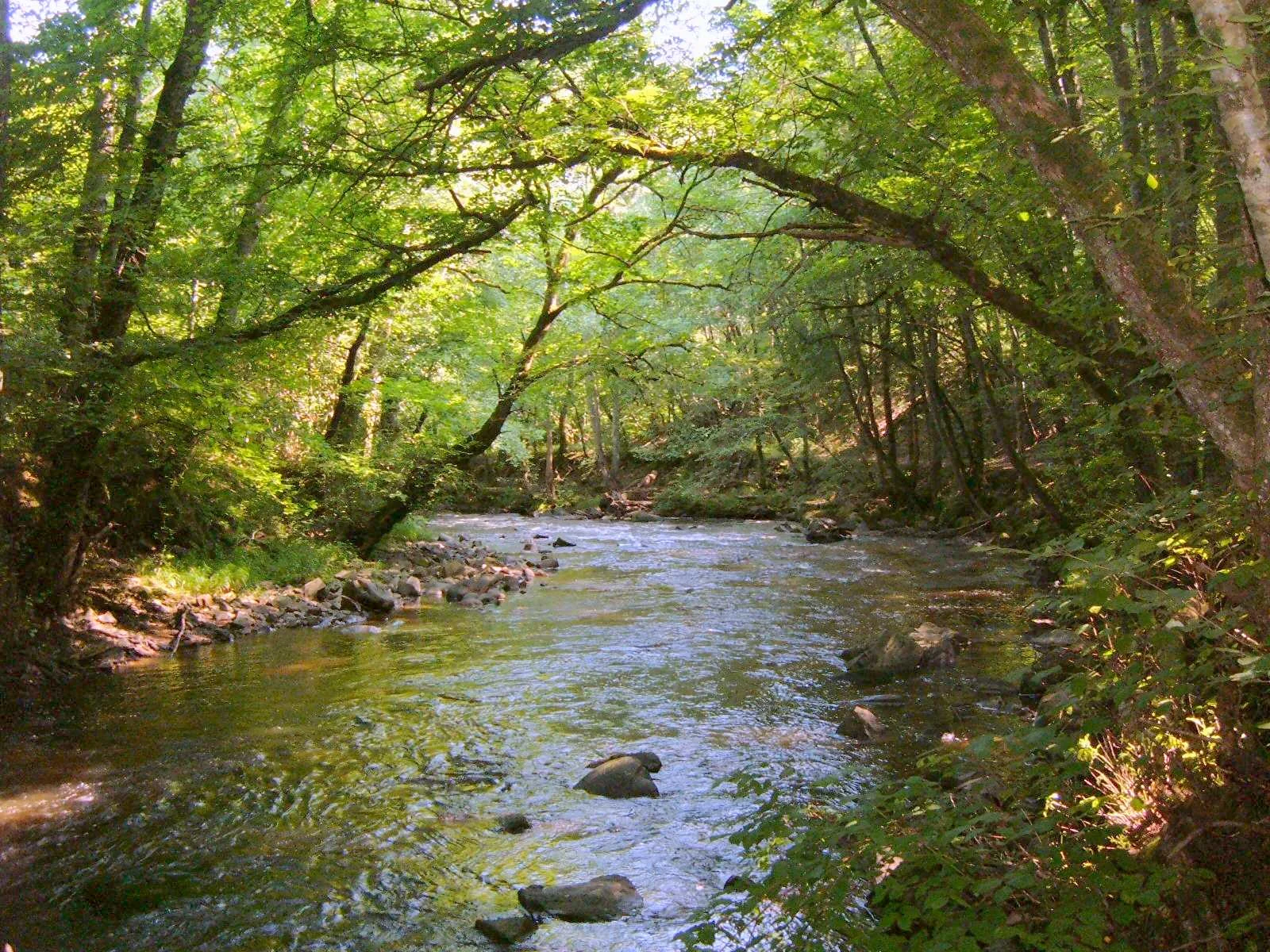 7 municipalités sur 10 déversent leurs eaux usées dans les cours d'eau