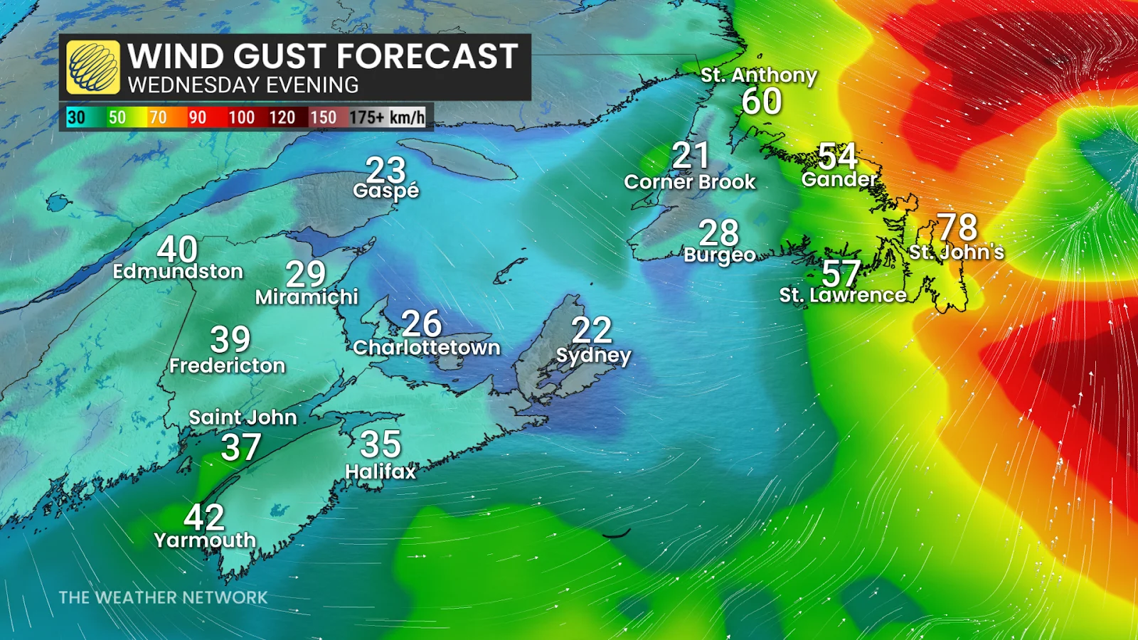 Newfoundland, Wind, Snow, Snowfall, Storm, Winter, Atlantic Canada, Feb. 18, 2026. (The Weather Network/Kevin Mackay)