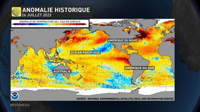 SST4 CARTE