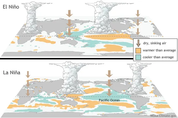 (NOAA) ENSO El Niño La Niña Diagram