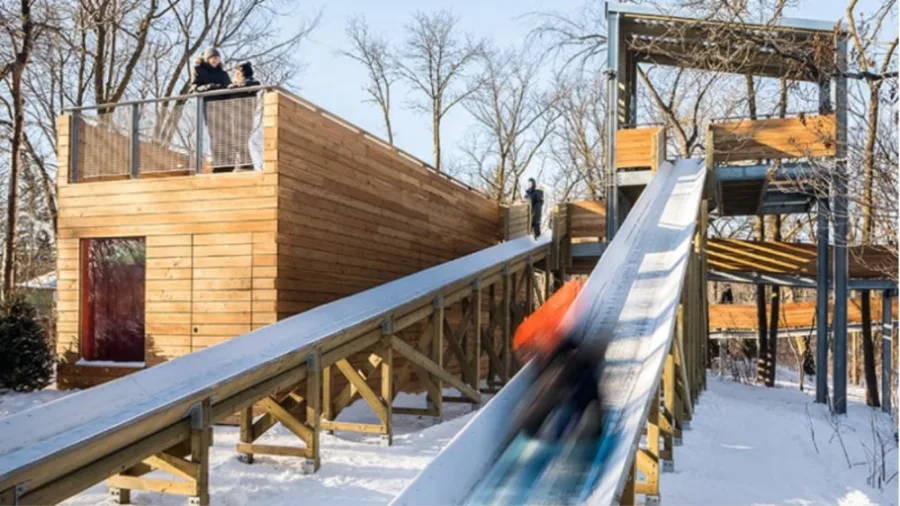 'Manitoboggan' gains international acclaim, 'a big deal for Winnipeg'