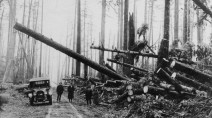 It's been a century since the Big Blow — thousands of trees were destroyed