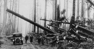 It's been a century since the Big Blow — thousands of trees were destroyed
