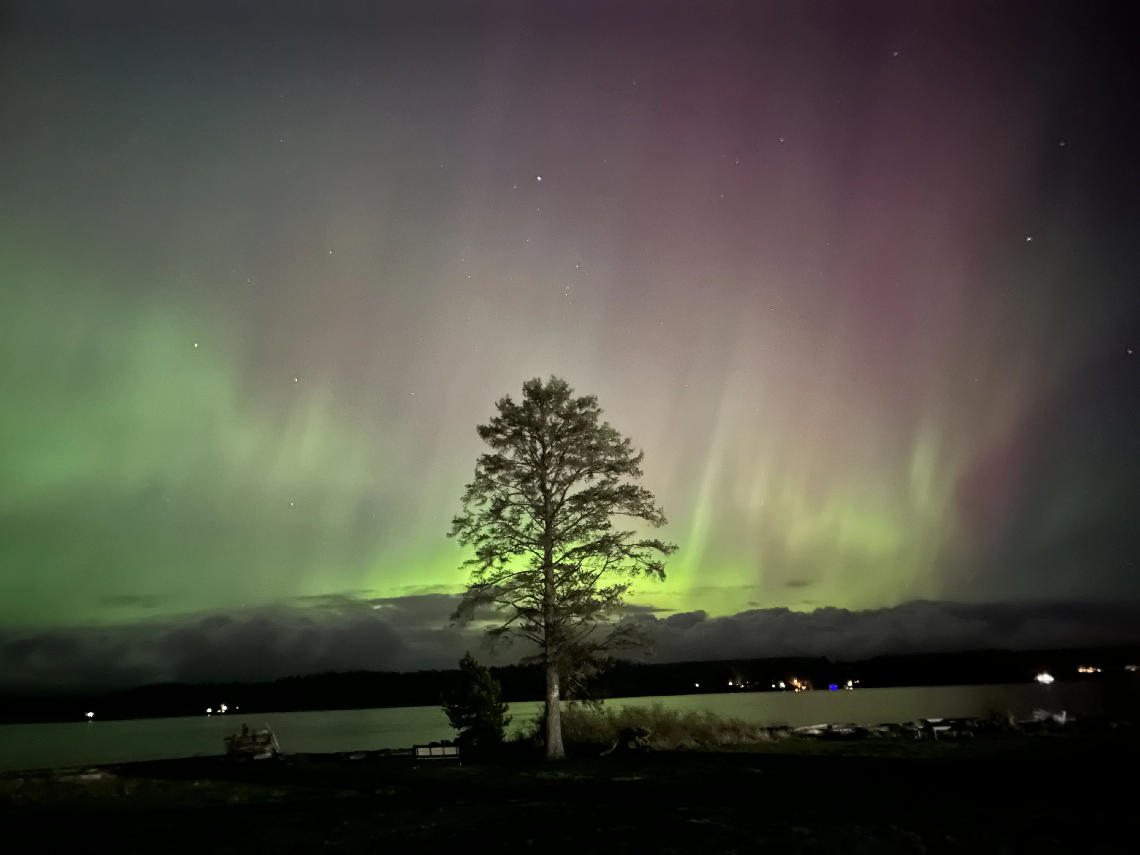 Northern Lights in Campbell River, B.C. (UGC/Rylee Laking)