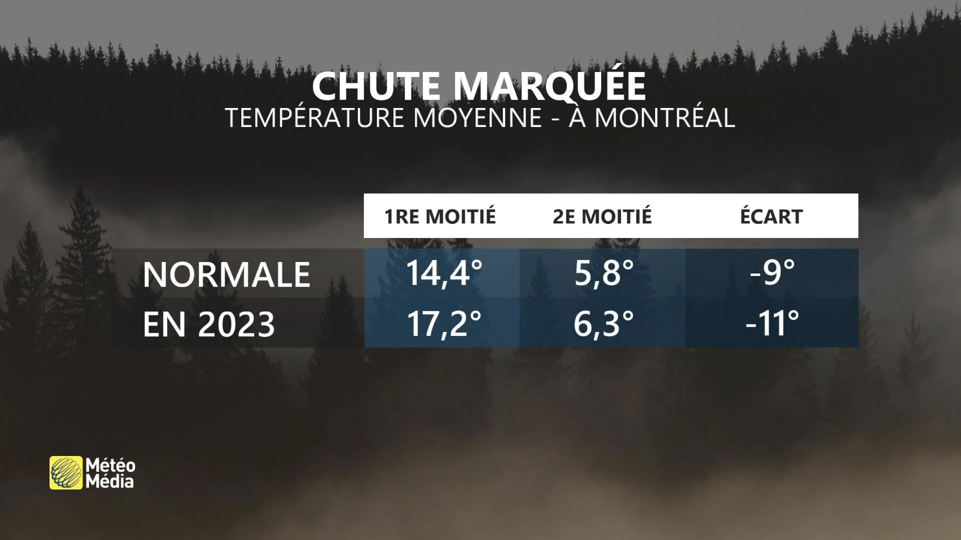 AUTOMNE5 MOITIÉS CHUTE