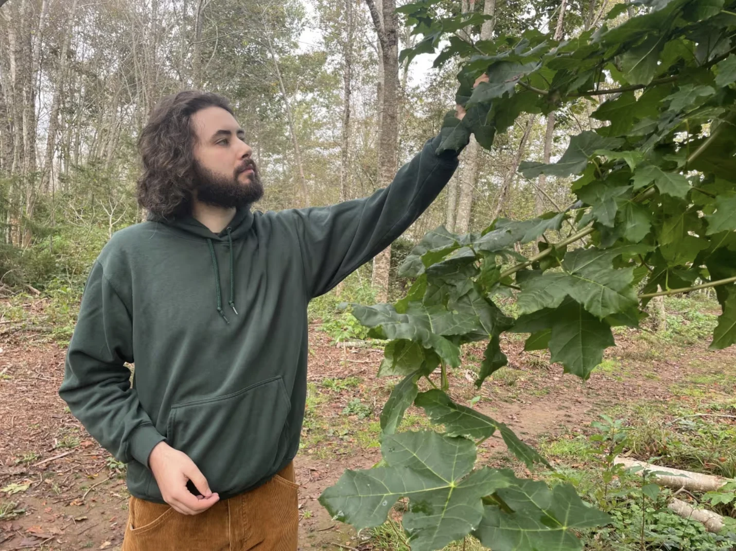 CBC: It's a good idea to avoid touching insects and plants you aren't familiar with, says Clay Cutting. (Ken Linton/CBC)