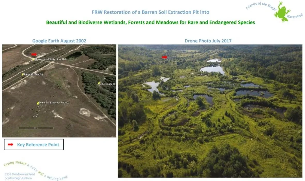 frw-before-and-after/Submitted by the Friends of the Rouge Watershed via CBC