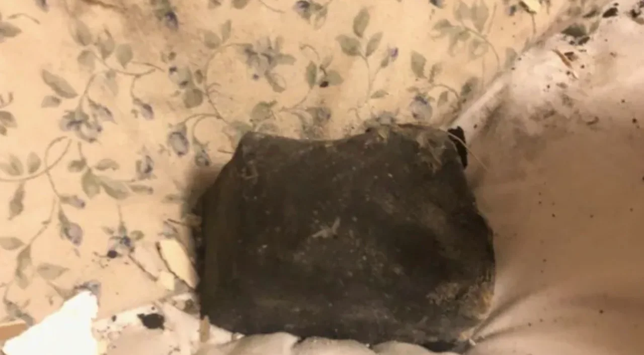 Woman rocked awake by meteorite chunk crashing into bedroom