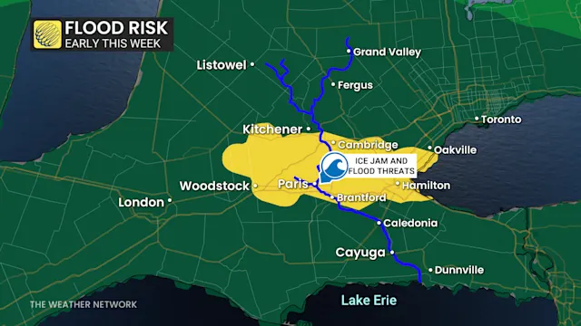 High-impact winter storm bears down on Ontario Sunday - The Weather Network